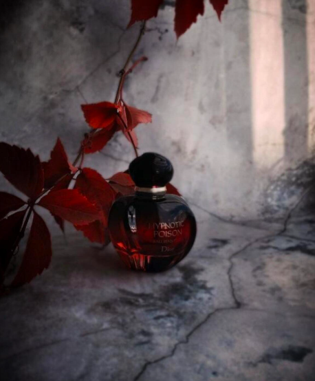 ✨ Dior VENENO HIPNÓTICO, Giorgio Armani SÌ y Versace DYLAN TURQUESA🏆