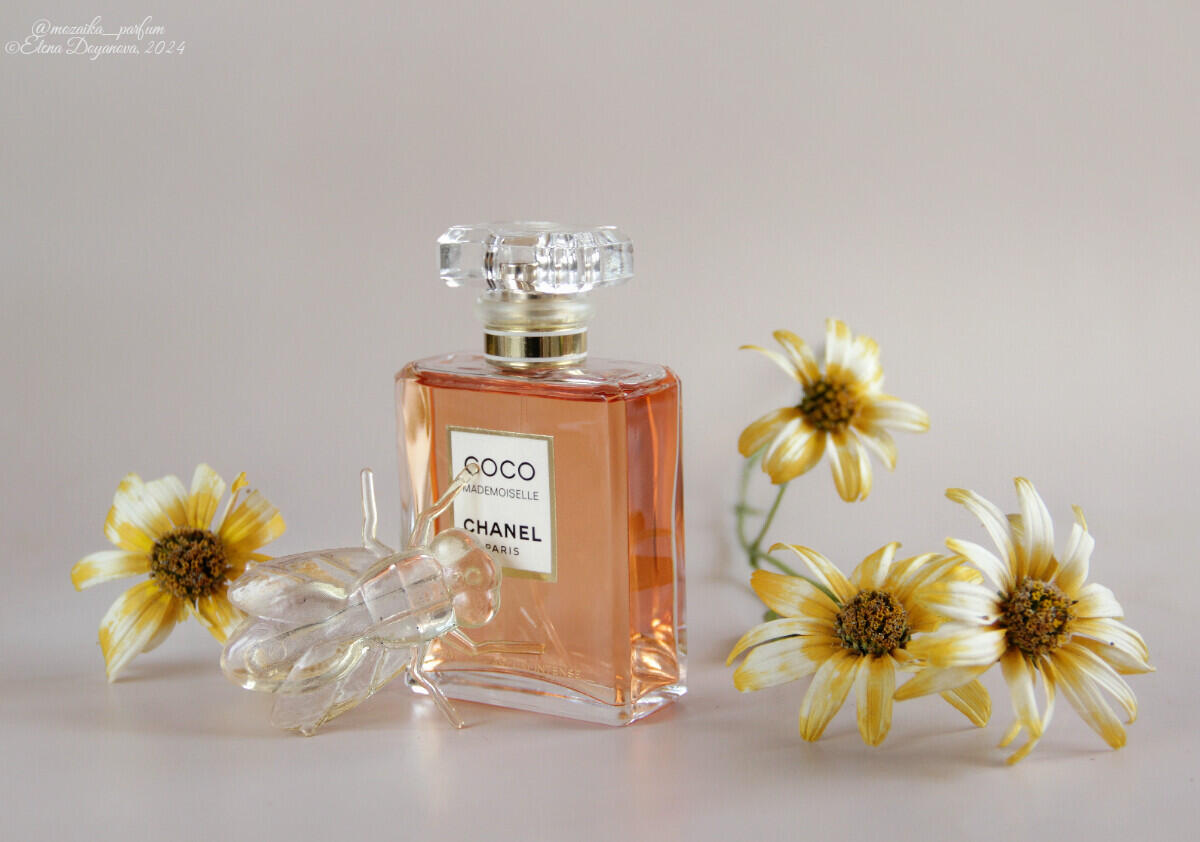 ✨ Trío – Bella Vida, Coco Mademoiselle L'Eau Privée &amp; Good Girl 🏆