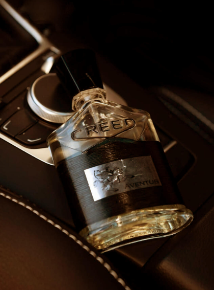 🏆 Bleu de Chanel, Creed Aventus, y Light Blue Dolce Gabbana🏆