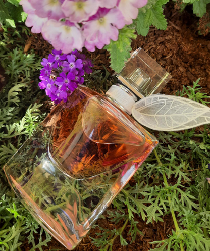 ✨ Carolina Herrera GOOD GIRL, Lancôme LA VIE EST BELLE y Carolina Herrera 212 VIP ROSÉ 🏆