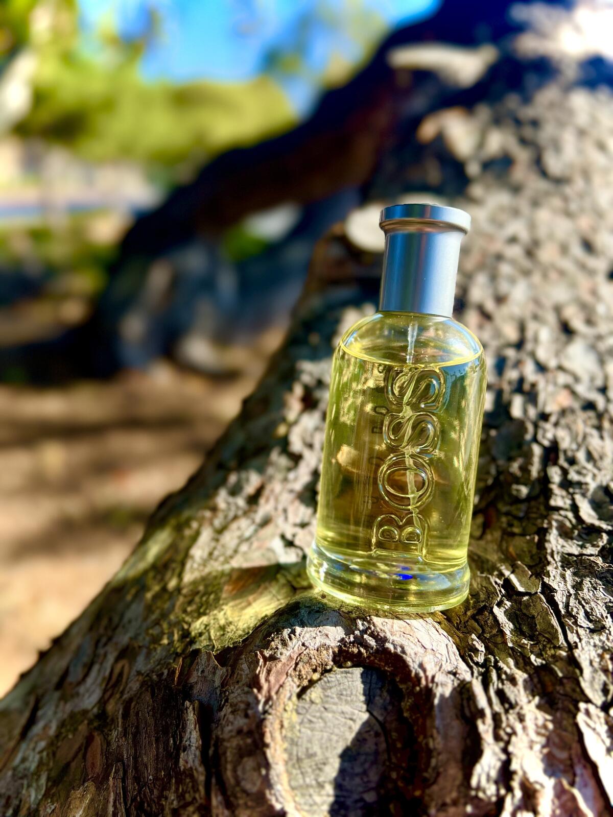 🏆 Trío BOSS – Unlimited, Night &amp; Bottled 🏆 