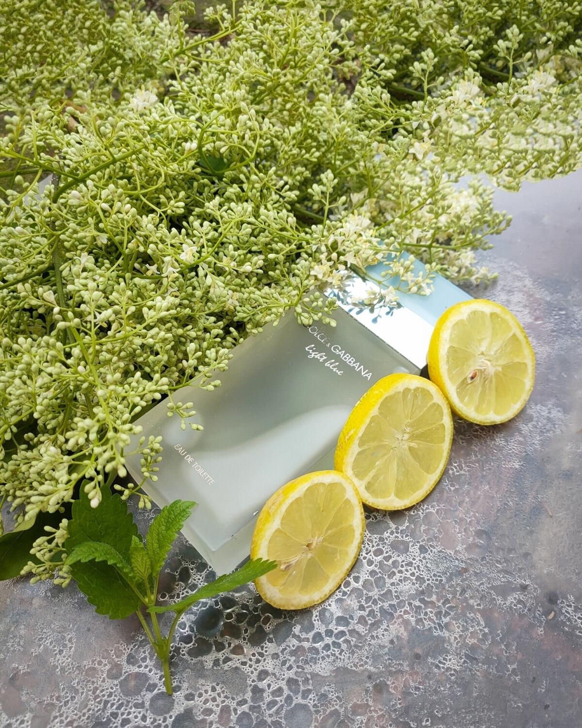 ✨ Trío – Fame Intense, La Vie Est Belle &amp; Light Blue + Splash Victoria's Secret de Regalo 🎁 