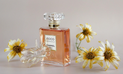✨ Prada PARADOXE, COCO MADEMOISELLE y MON PARIS 🏆