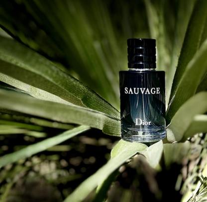 🏆 Paco Rabanne UN MILLÓN, Dior SAUVAGE y Paco Rabanne INVICTUS🏆